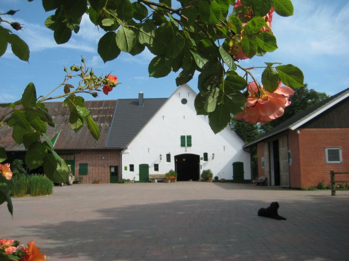 Wrede-Hof Apartment Cappeler Niederstrich ภายนอก รูปภาพ
